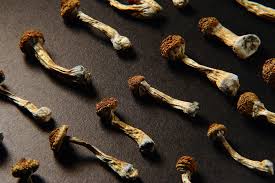 Tips for Managing the Duration of a Shroom Trip